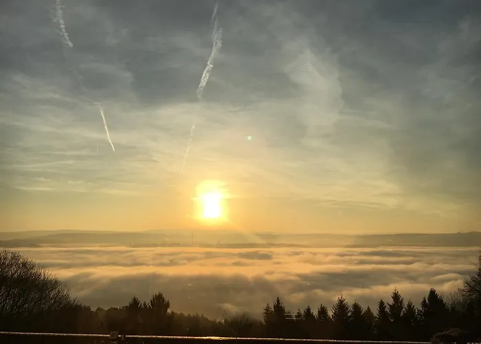 考克斯伯格冰山酒店 3* 特里尔